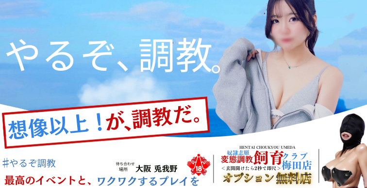 やるぞ、調教。